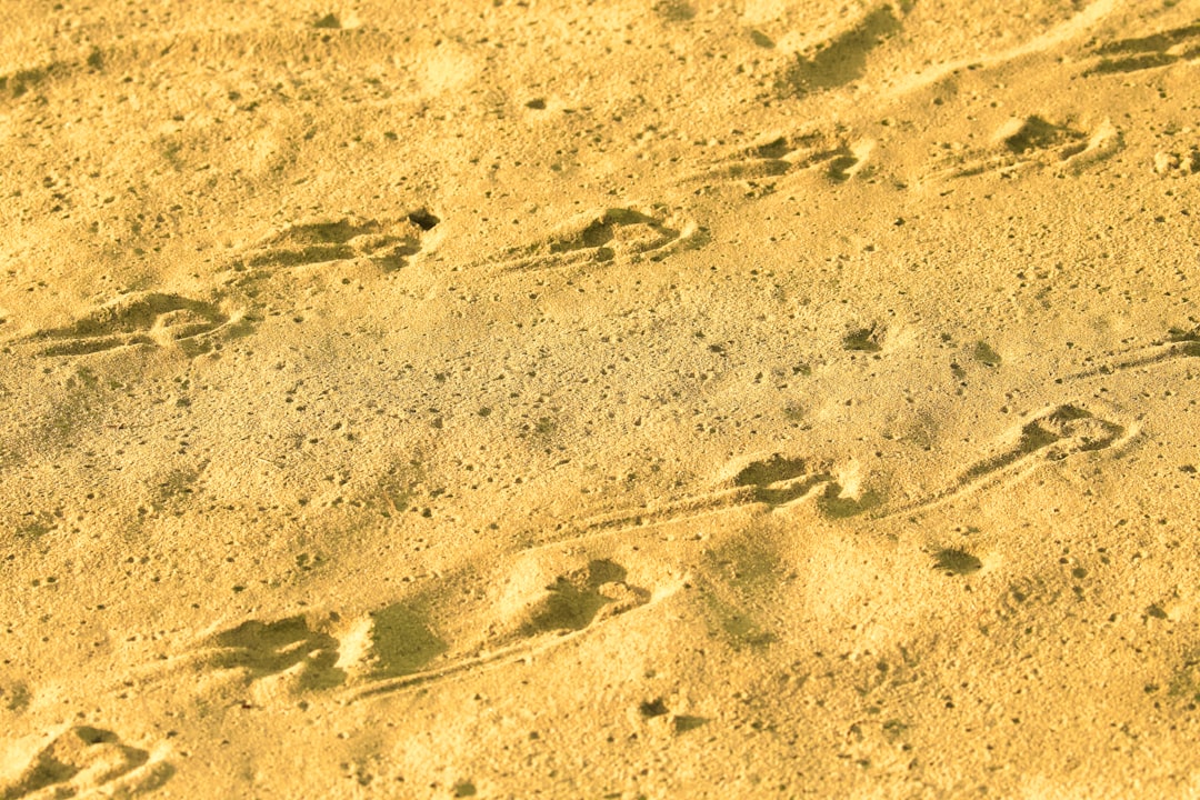 Illustration des interférences GPS en milieu urbain dense