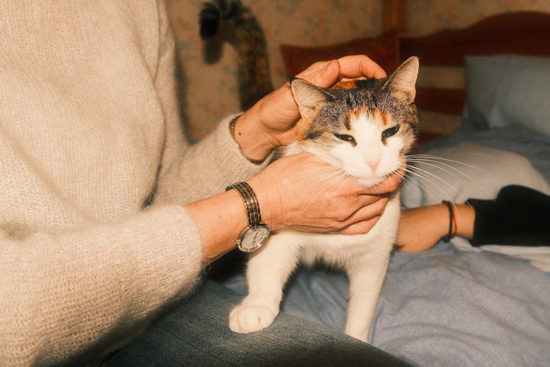 Famille avec animal dans le jardin